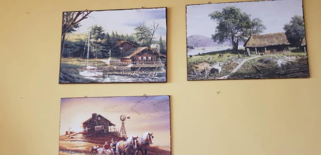 Leyla Hostel Μπρασόβ Εξωτερικό φωτογραφία