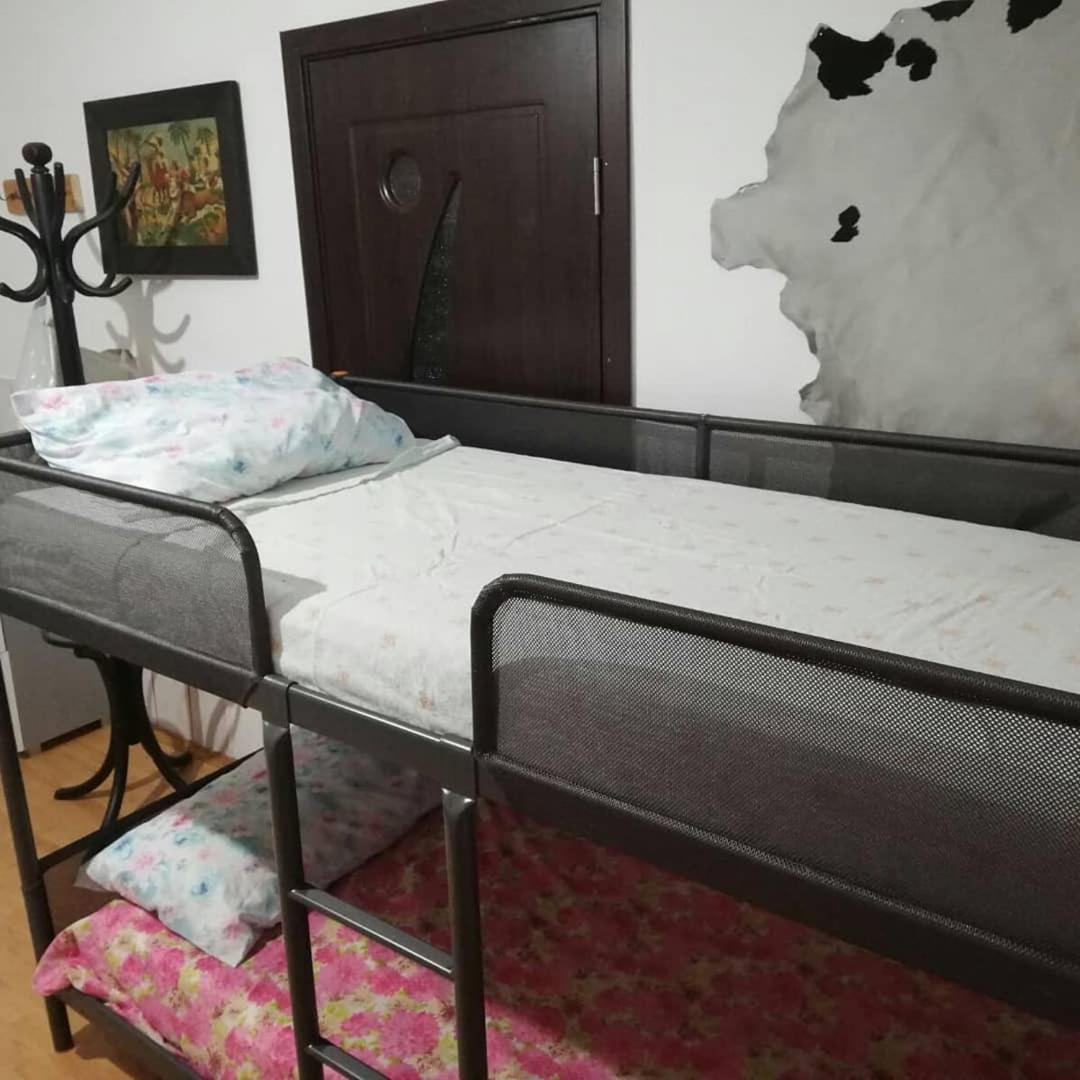 Leyla Hostel Μπρασόβ Εξωτερικό φωτογραφία