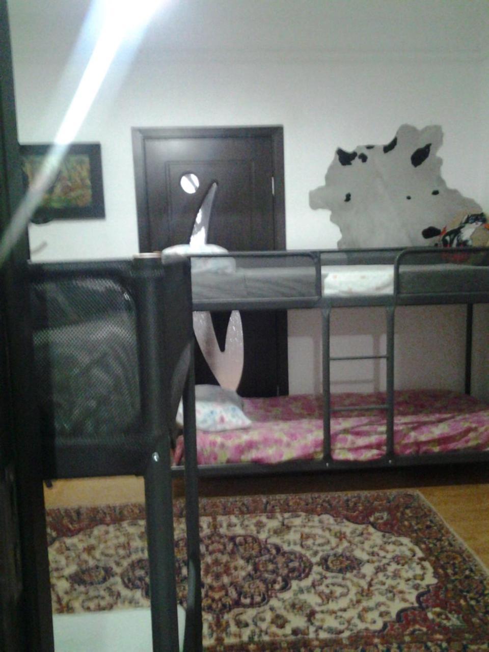 Leyla Hostel Μπρασόβ Εξωτερικό φωτογραφία