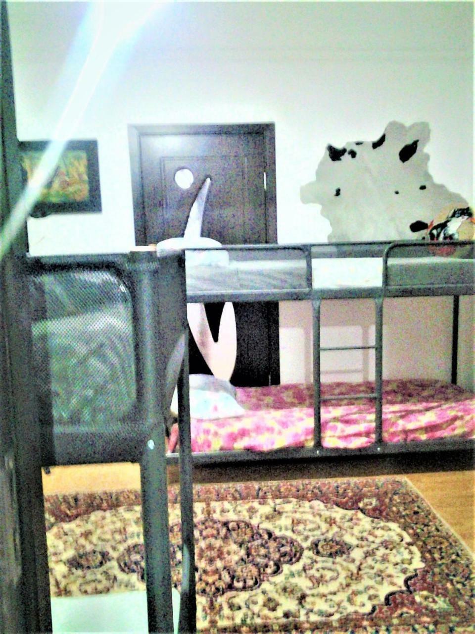 Leyla Hostel Μπρασόβ Εξωτερικό φωτογραφία